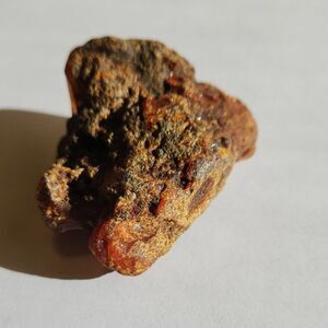 Natural State Baltic Sea Amber Chunk